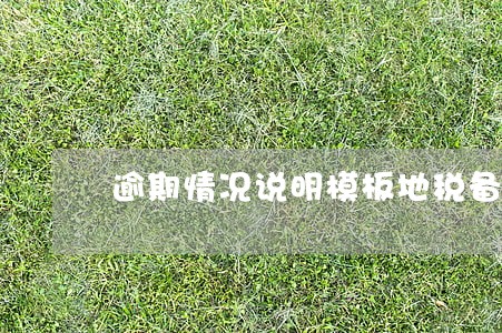 逾期情况说明模板地税备案 逾期情况说明模板地税备案