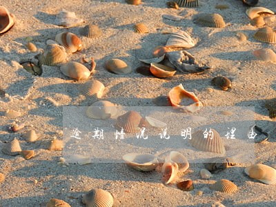 逾期情况说明的理由