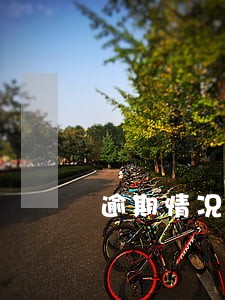 逾期情况说明那里开 逾期情况说明那里开