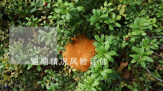 逾期情况风险评估 逾期情况风险评估