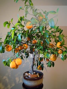 逾期惩戒短信