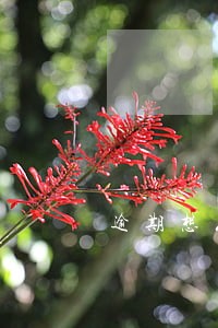 逾期想从新办电话卡 逾期想从新办电话卡
