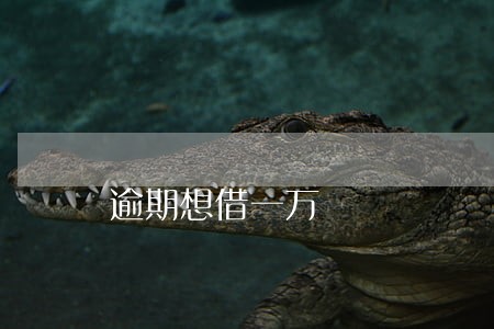 逾期想借一万 逾期想借一万