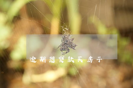 逾期想贷款买房子