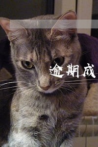 逾期成不良贷款被拉黑 逾期成不良贷款被拉黑