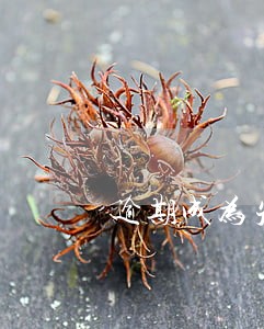 逾期成为失信被执行人