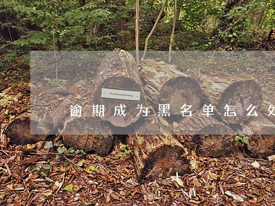 逾期成为黑名单怎么处理 逾期成为黑名单怎么处理