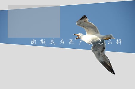 逾期成为黑户会怎么样 逾期成为黑户会怎么样