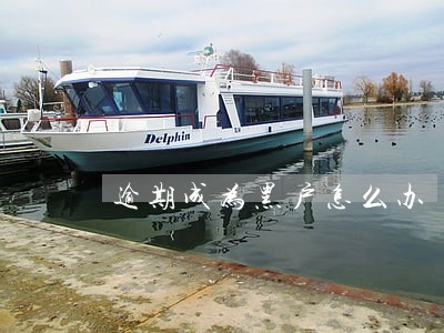 逾期成为黑户怎么办