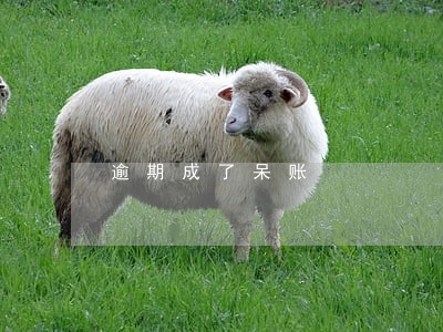 逾期成了呆账