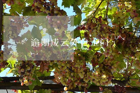 逾期成云外包上门 逾期成云外包上门