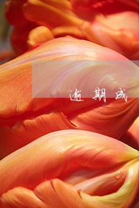逾期成呆账可以消掉吗 逾期成呆账可以消掉吗