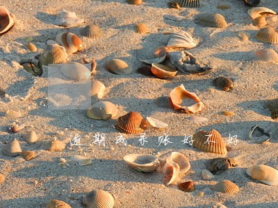 逾期成呆账好不好 逾期成呆账好不好