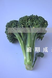 逾期成呆账怎么处理 逾期成呆账怎么处理