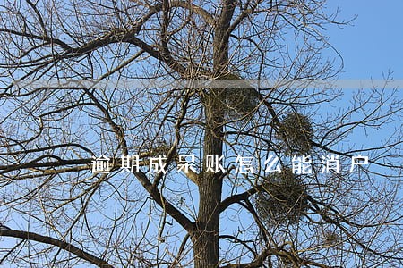 逾期成呆账怎么能消户 逾期成呆账怎么能消户