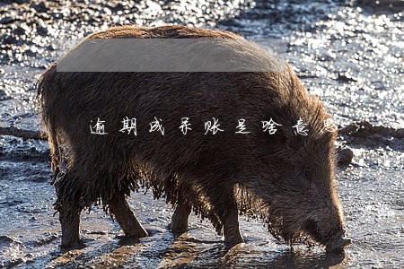 逾期成呆账是啥意思 逾期成呆账是啥意思