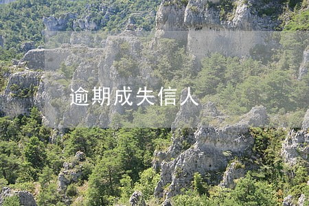 逾期成失信人 逾期成失信人