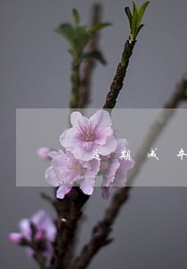 逾期成本怎么计算 逾期成本怎么计算