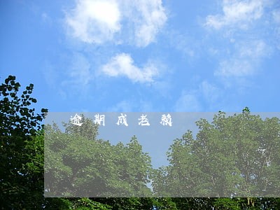 逾期成老赖 逾期成老赖