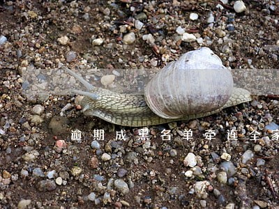 逾期成黑名单牵连全家人 逾期成黑名单牵连全家人