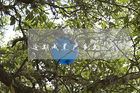 逾期成黑户多久 逾期成黑户多久