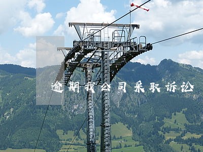 逾期我公司采取诉讼 逾期我公司采取诉讼