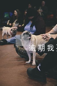 逾期我要借一万块钱去哪里弄 逾期我要借一万块钱去哪里弄