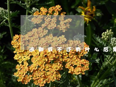 逾期或不还有什么后果 逾期或不还有什么后果