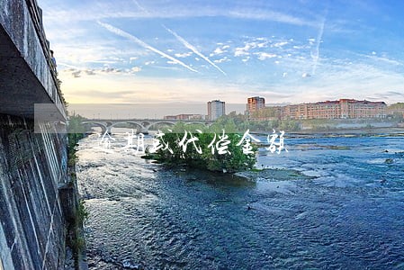 逾期或代偿金额 逾期或代偿金额