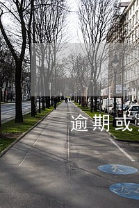逾期或挤占挪用贷款 逾期或挤占挪用贷款