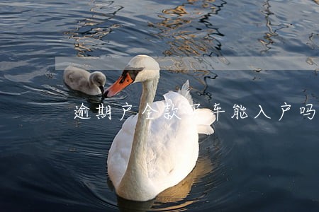 逾期户全款买车能入户吗 逾期户全款买车能入户吗