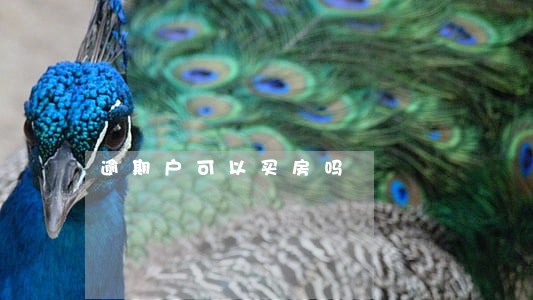 逾期户可以买房吗 逾期户可以买房吗