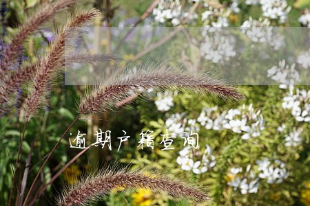 逾期户籍查询 逾期户籍查询