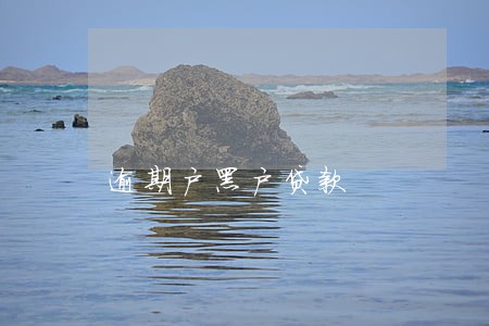 逾期户黑户贷款 逾期户黑户贷款