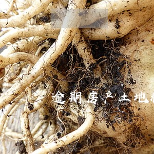 逾期房产土地税会计分录 逾期房产土地税会计分录