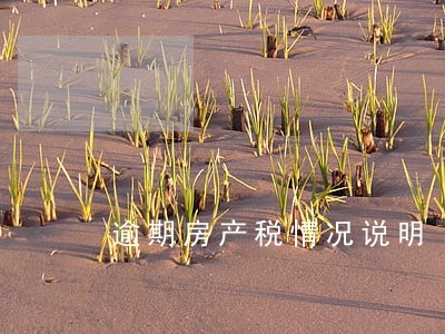 逾期房产税情况说明 逾期房产税情况说明