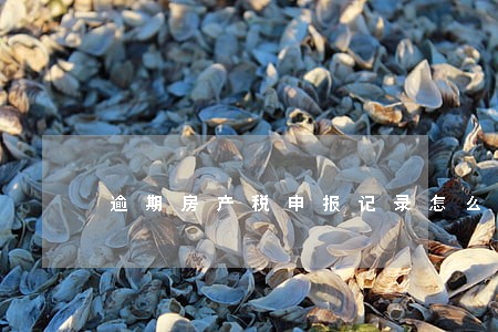 逾期房产税申报记录怎么消除 逾期房产税申报记录怎么消除