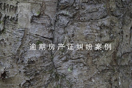逾期房产证纠纷案例 逾期房产证纠纷案例