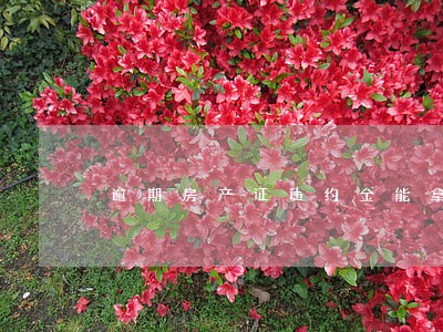 逾期房产证违约金能拿到吗 逾期房产证违约金能拿到吗