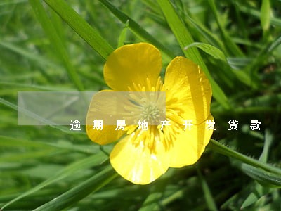 逾期房地产开发贷款 逾期房地产开发贷款
