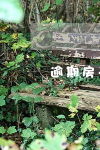 逾期房子全款 逾期房子全款