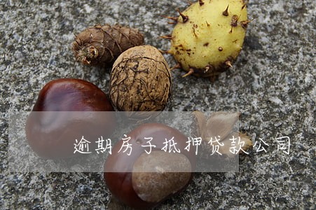 逾期房子抵押贷款公司 逾期房子抵押贷款公司