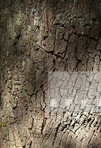 逾期房屋占用费的法律规定 逾期房屋占用费的法律规定