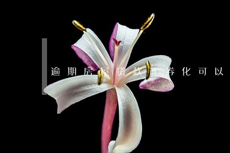 逾期房屋贷款证券化可以协商 逾期房屋贷款证券化可以协商