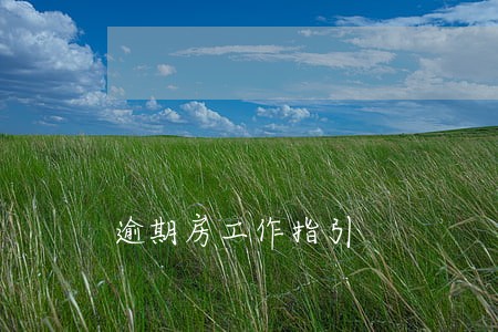 逾期房工作指引 逾期房工作指引
