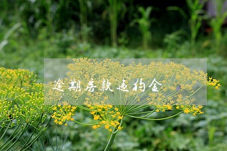 逾期房款违约金 逾期房款违约金