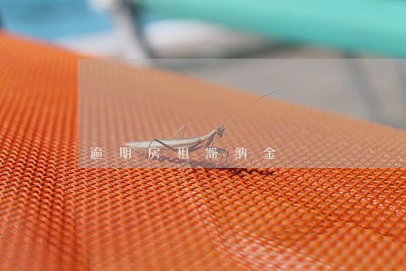 逾期房租滞纳金 逾期房租滞纳金