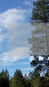 逾期房租滞纳金比例 逾期房租滞纳金比例