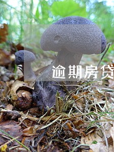 逾期房贷上浮利率有没有规定 逾期房贷上浮利率有没有规定