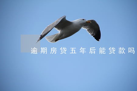 逾期房贷五年后能贷款吗 逾期房贷五年后能贷款吗